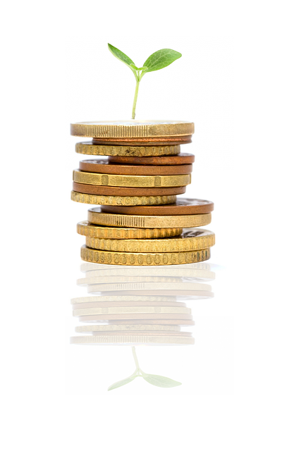 Best Ways to Invest Money in 2025